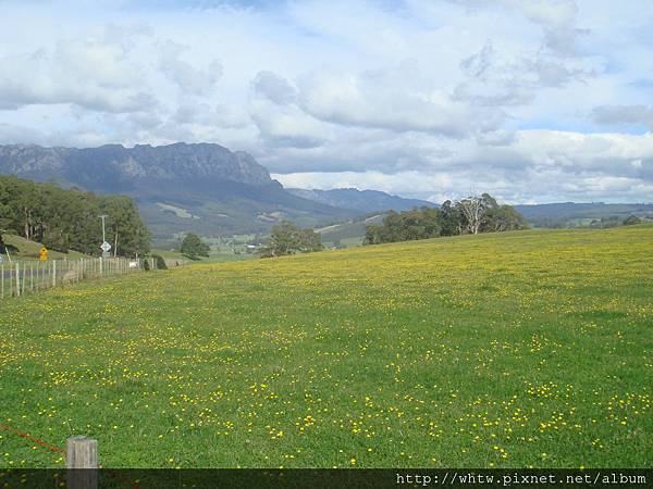 DSC06461.JPG DSC06461.JPG