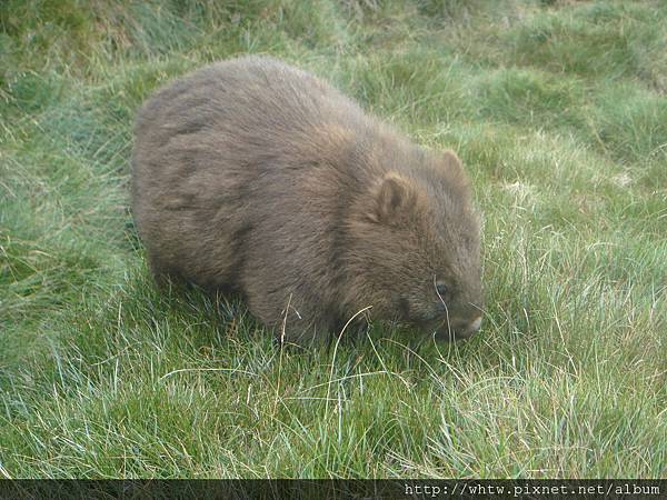 DSC06607.JPG DSC06607.JPG