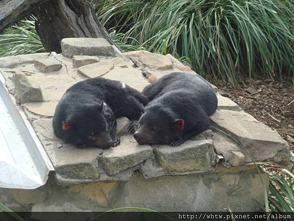 DSC06878.JPG DSC06878.JPG