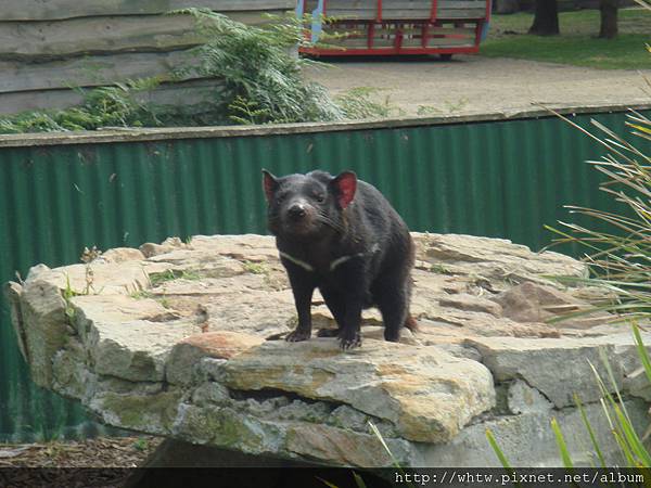 DSC06880.JPG DSC06880.JPG