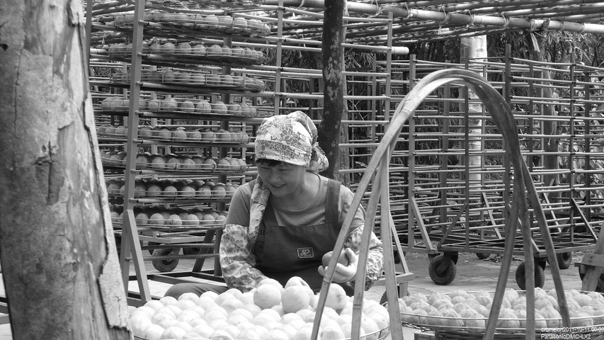 P1170792.JPG P1170792.JPG