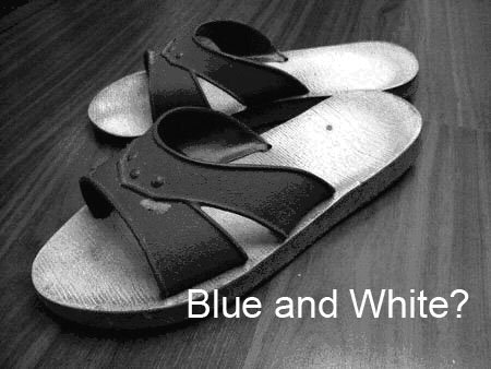 殺滅蟑螂方法 +打蟑螂命中率提高到99.99%密技 殺滅蟑螂方法 +打蟑螂命中率提高到99.99%密技