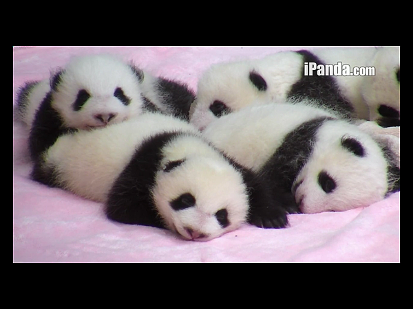 IMG_1108.png IMG_1108.png