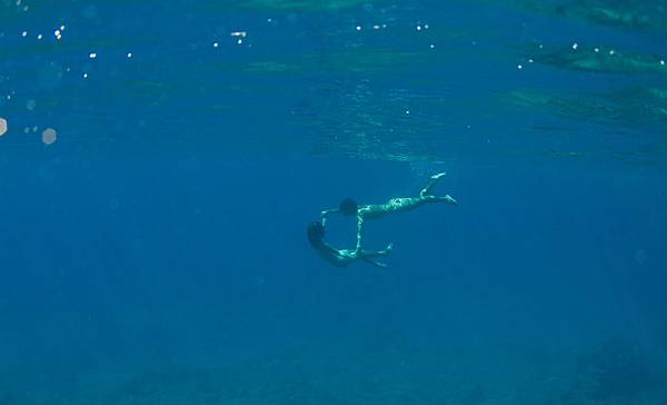 still-the-water-naomi-kawase-05