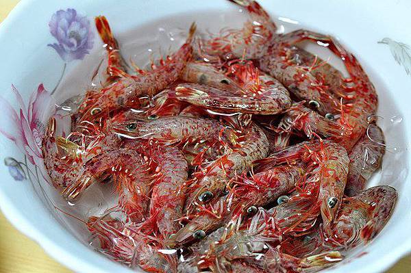 291711_477088372346407_1487355054_n 291711_477088372346407_1487355054_n