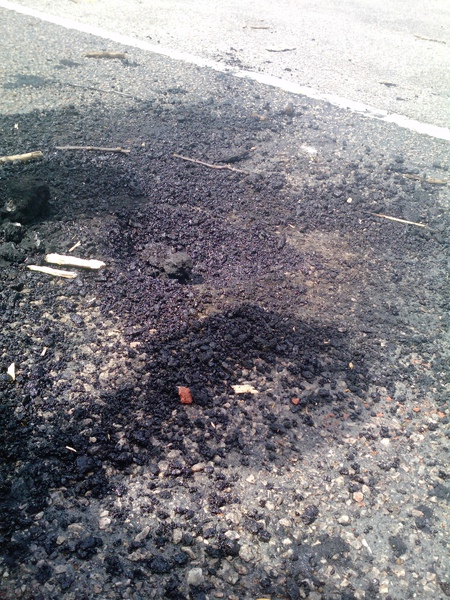 P1141_16-01-10.JPG P1141_16-01-10.JPG