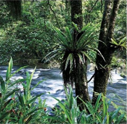 03 坪林金瓜寮.jpg 03 坪林金瓜寮.jpg