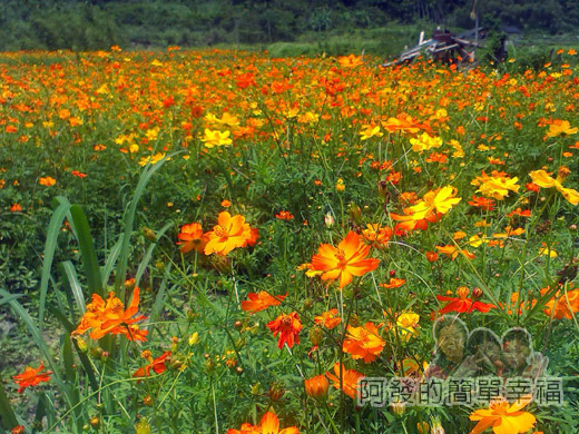 雙溪半日遊06b 雙溪半日遊06b