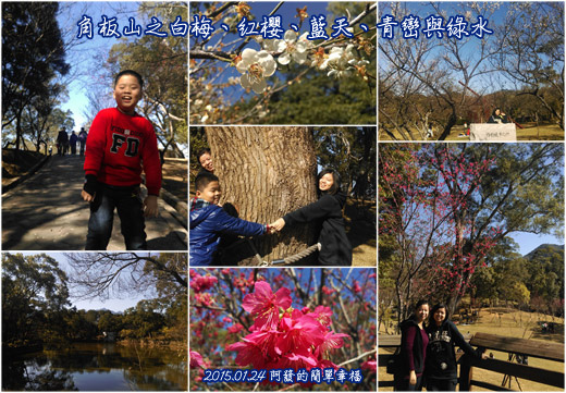 角板山賞梅櫻齊放all 角板山賞梅櫻齊放all