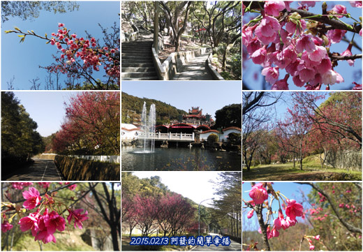 壽山巖觀音寺賞山櫻all 壽山巖觀音寺賞山櫻all