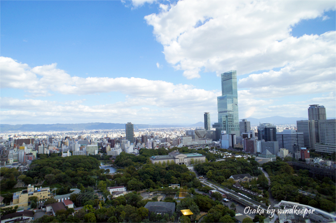 【大阪】俯瞰大阪市景的過去與現在(中)：通天閣 (10)