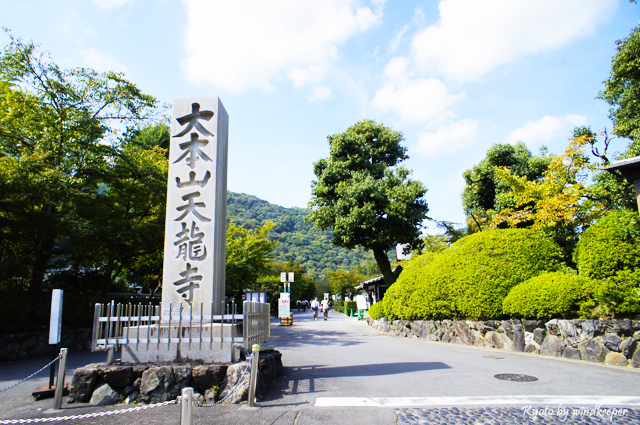 【京都】彼岸花畔一片天：大本山天龍寺(2)