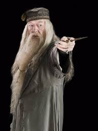 「Albus Dumbledore」的圖片搜尋結果