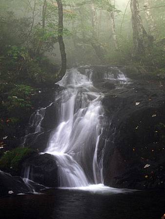 img_995799_38244175_2 img_995799_38244175_2