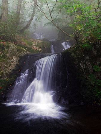 img_995799_38244175_1