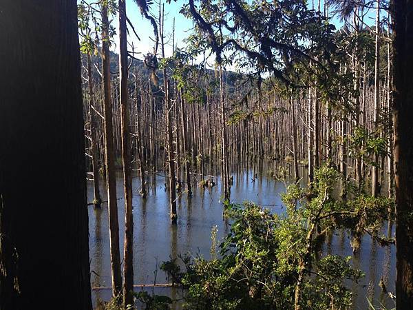 1454581_774601762556018_1566250528_n 1454581_774601762556018_1566250528_n