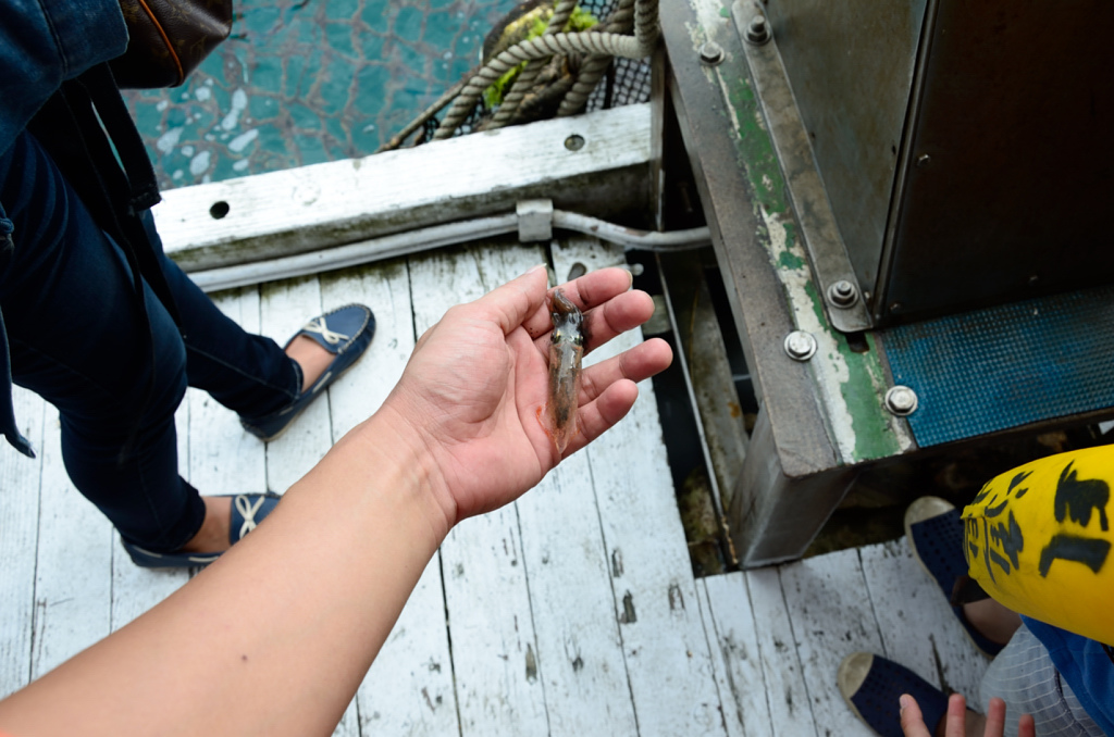 DSC_5554.JPG DSC_5554.JPG