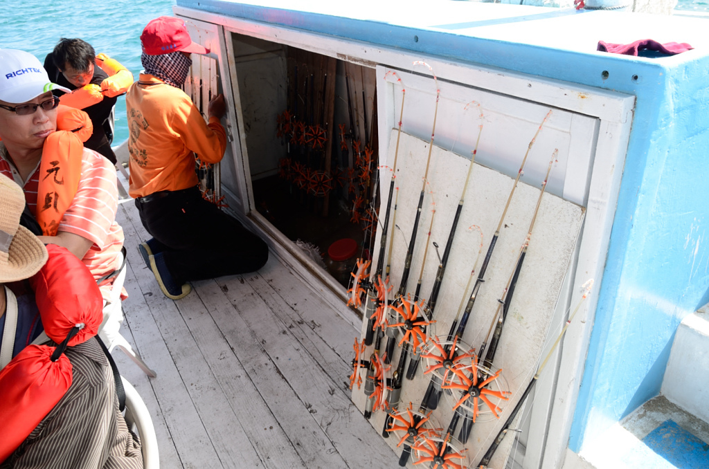 DSC_5582.JPG DSC_5582.JPG