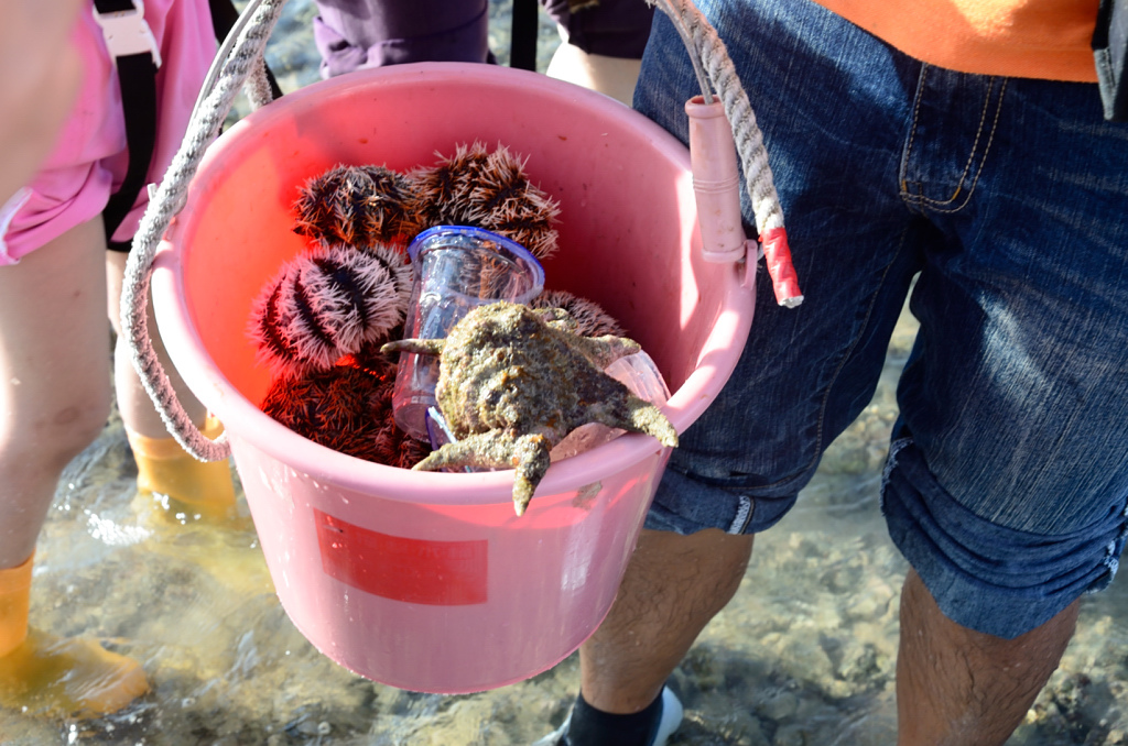 DSC_5651.JPG DSC_5651.JPG