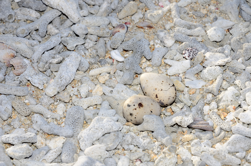 DSC_5730.JPG DSC_5730.JPG