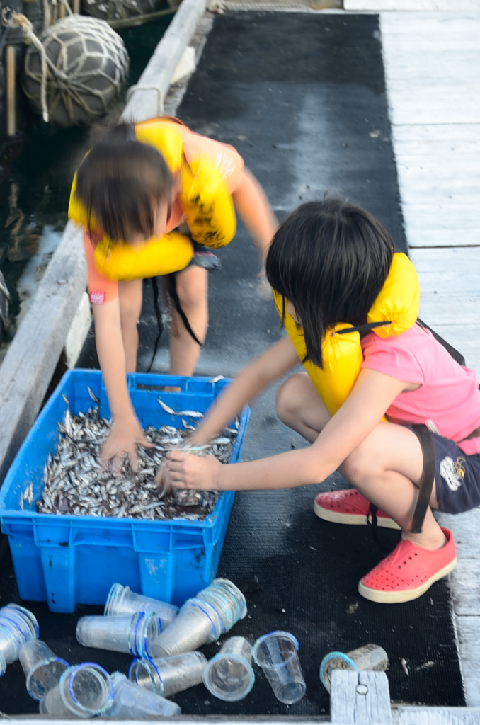 DSC_5763.JPG DSC_5763.JPG