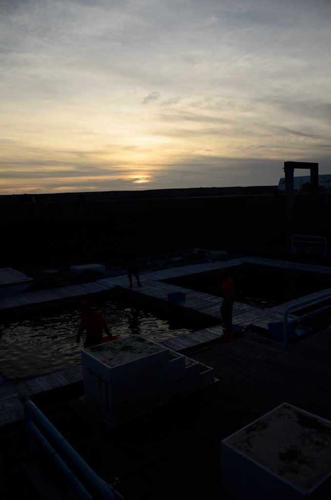 DSC_5769.JPG DSC_5769.JPG