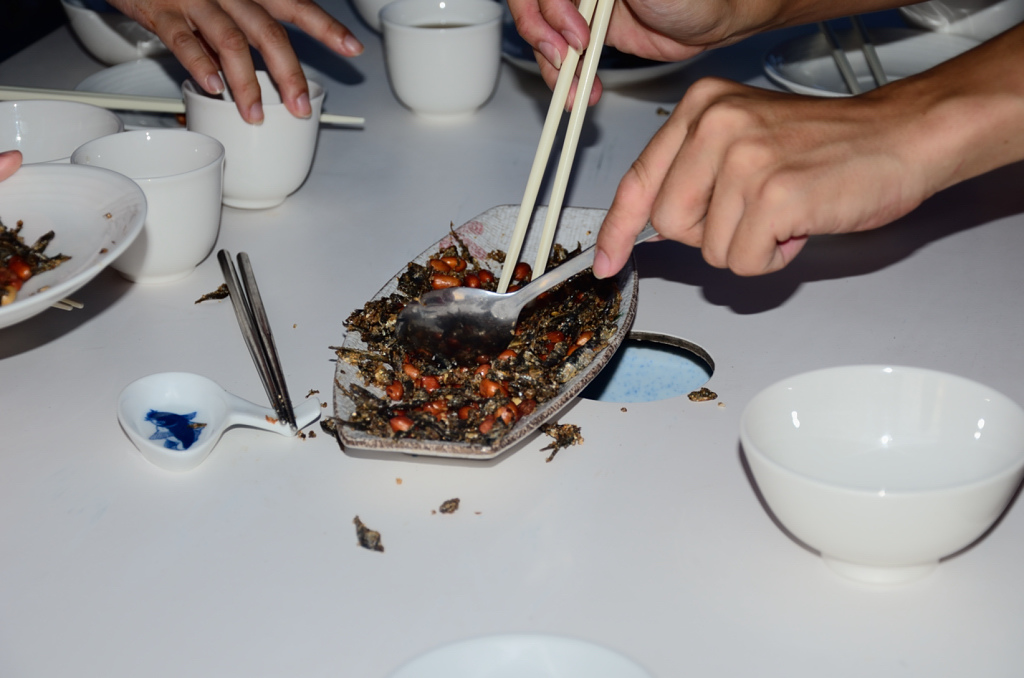 DSC_5773.JPG DSC_5773.JPG