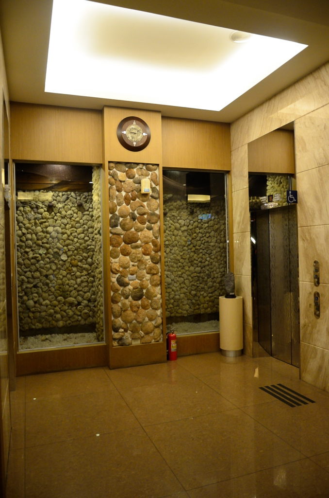 DSC_5811.JPG DSC_5811.JPG