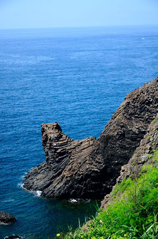 DSC_5950.JPG DSC_5950.JPG