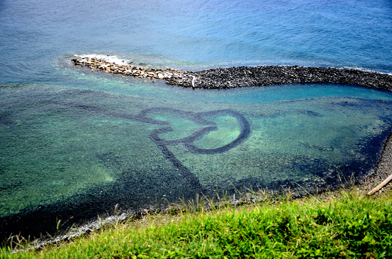 DSC_5971.JPG DSC_5971.JPG