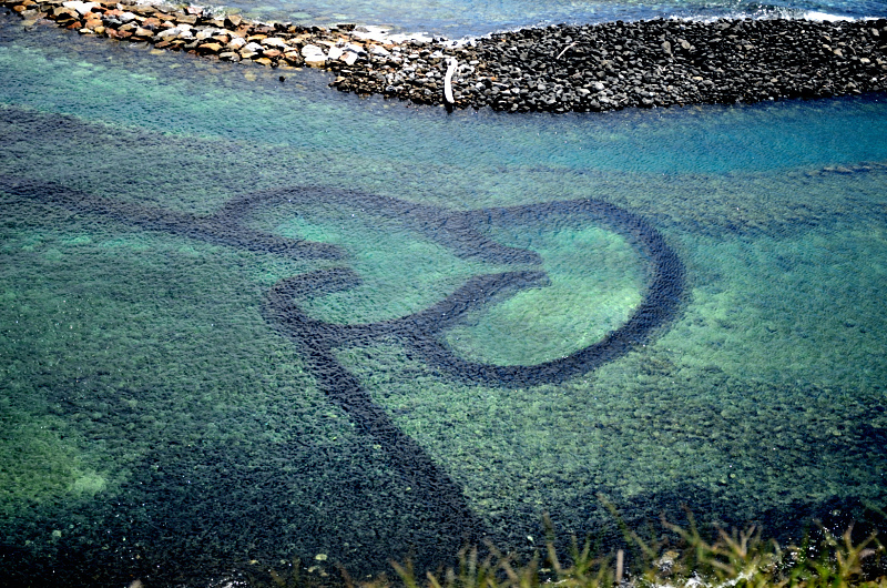 DSC_5973.JPG DSC_5973.JPG