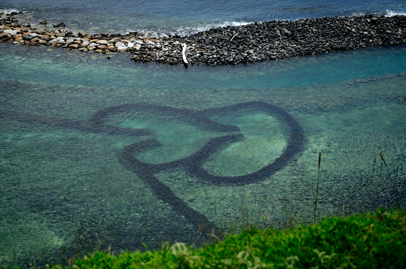 DSC_5992.JPG DSC_5992.JPG