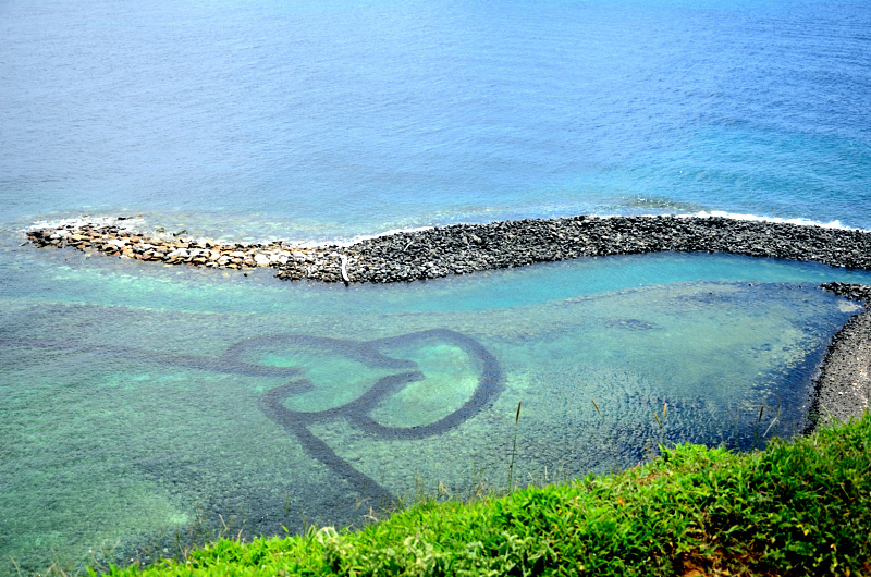 DSC_5993.JPG DSC_5993.JPG