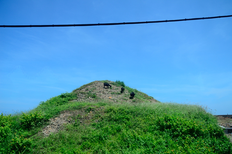 DSC_6005.JPG DSC_6005.JPG