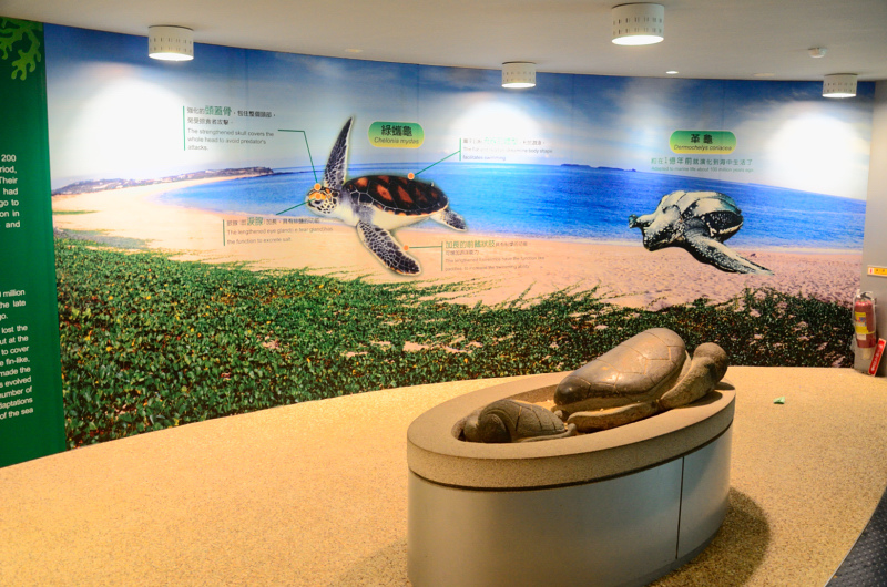 DSC_6142.JPG DSC_6142.JPG