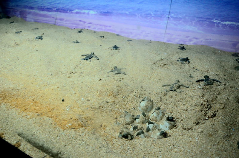 DSC_6143.JPG DSC_6143.JPG