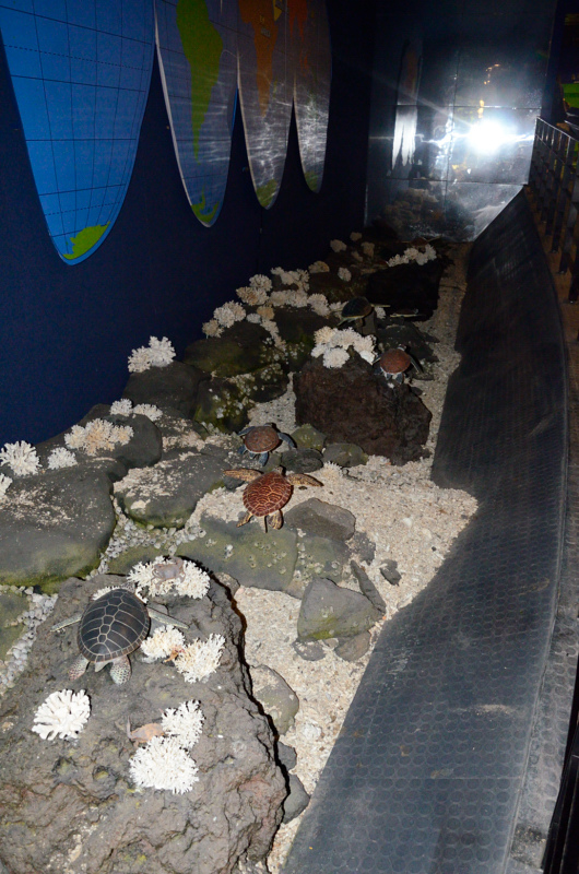 DSC_6150.JPG DSC_6150.JPG