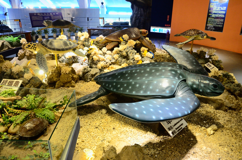 DSC_6152.JPG DSC_6152.JPG