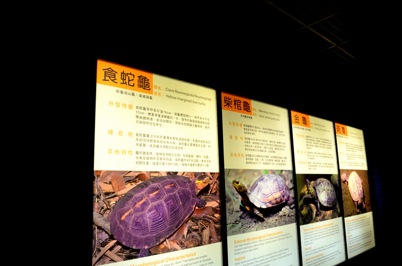 DSC_6154.JPG DSC_6154.JPG