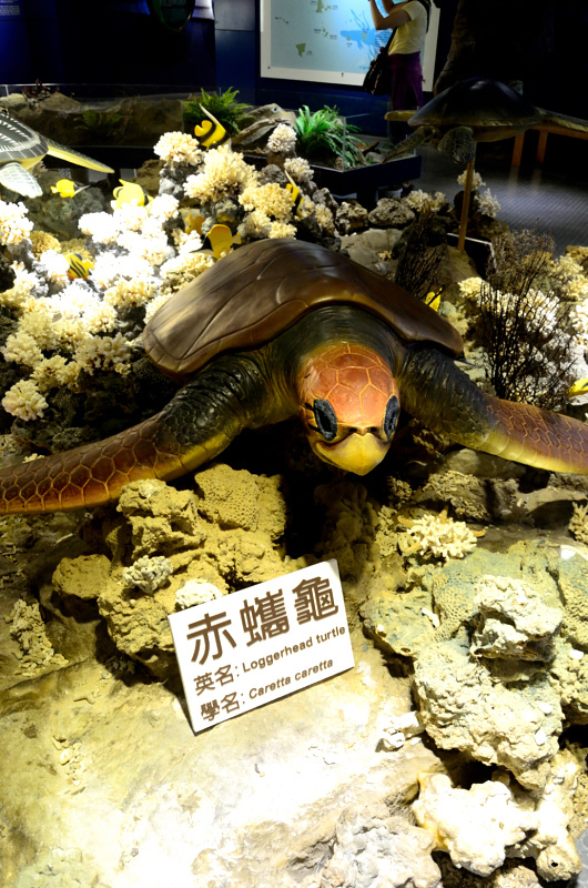 DSC_6155.JPG DSC_6155.JPG