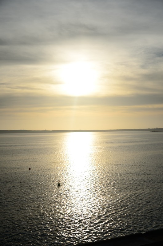 DSC_6257_021.JPG DSC_6257_021.JPG