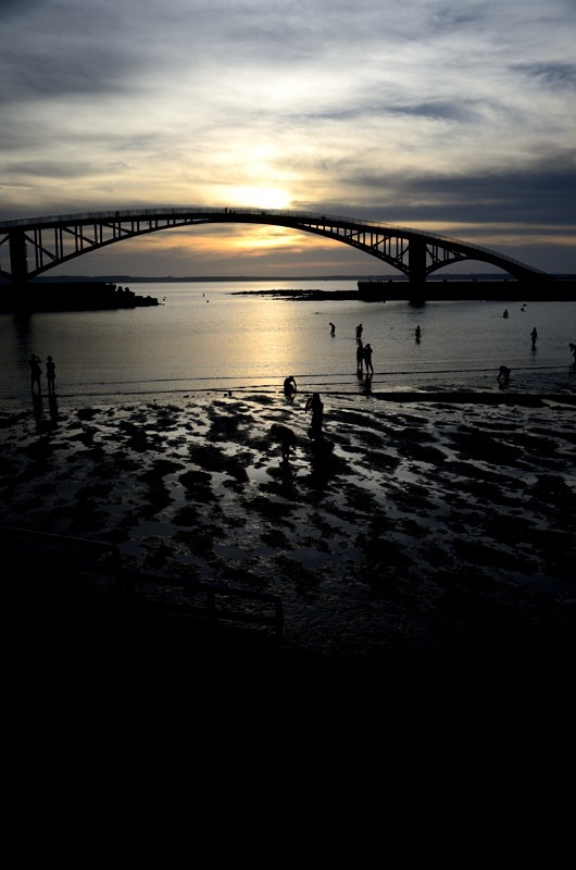 DSC_6262_024.JPG DSC_6262_024.JPG