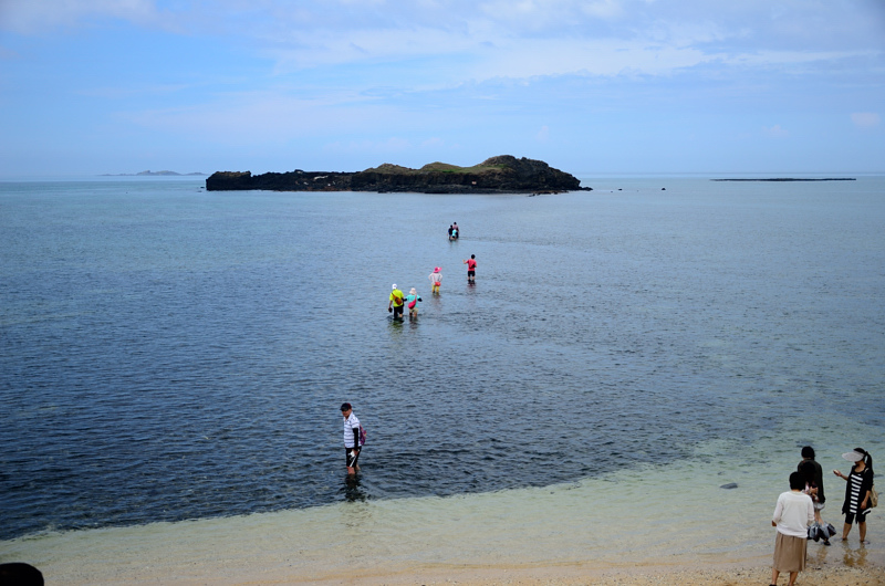 DSC_6412.JPG DSC_6412.JPG