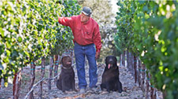 螢幕快照 2013-01-05 下午12.53.30 螢幕快照 2013-01-05 下午12.53.30