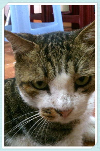 【小吃】深坑店小二-東南科大學生必推美食 - 第3張圖