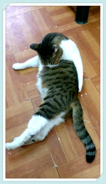 【小吃】深坑店小二-東南科大學生必推美食 - 第4張圖