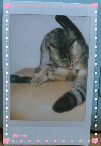 ◎3C◎FUJIFILM instax mini 8 – 拿到一定尖叫的繽紛馬卡龍拍立得相機