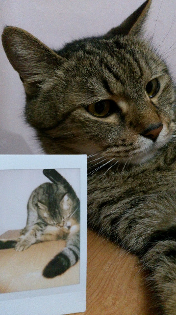 ◎3C◎FUJIFILM instax mini 8 – 拿到一定尖叫的繽紛馬卡龍拍立得相機