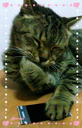 ◎3C◎FUJIFILM instax mini 8 – 拿到一定尖叫的繽紛馬卡龍拍立得相機 - 第20張圖 ◎3C◎FUJIFILM instax mini 8 – 拿到一定尖叫的繽紛馬卡龍拍立得相機