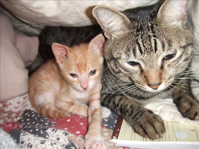 烏咪長大了 - 第5張圖